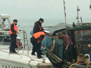 南沙區畜牧漁業飼料產業的現代化發展與管理