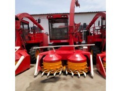 云芝蘑種植與畜牧漁業(yè)飼料產(chǎn)業(yè)協(xié)同發(fā)展探析